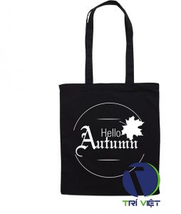 tui-vai-bo-tri-viet-10