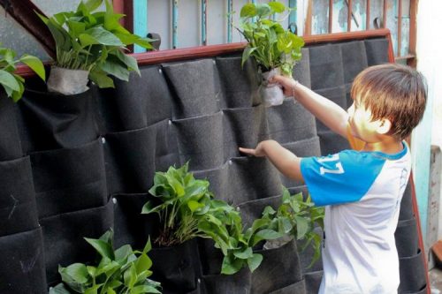 Túi vải bố trồng rau