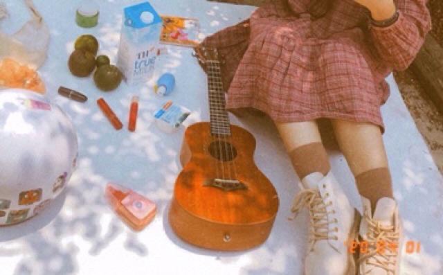 Chất vải Canvas dày và có độ bền tuyệt vời nên là nguyên liệu rất được chuộng may thảm