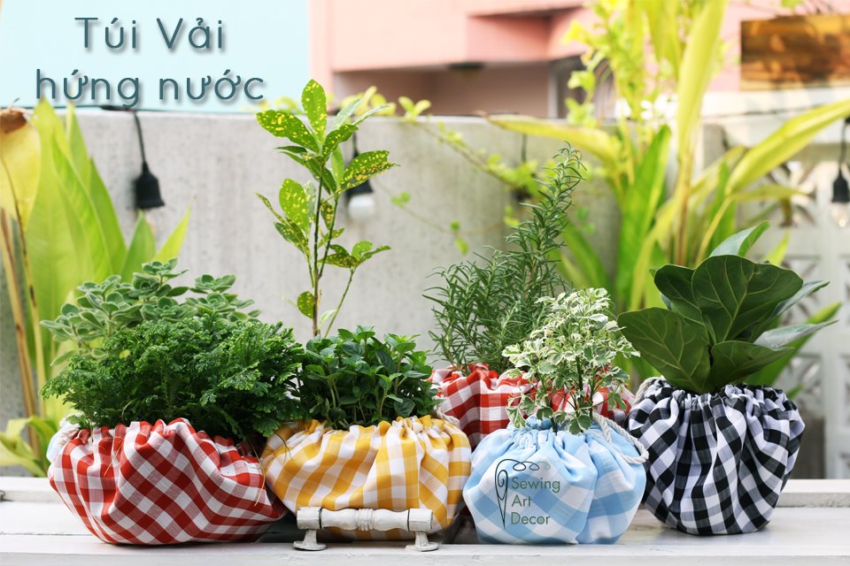 Túi vải canvas hứng nước trang trí chậu cây giúp tối ưu việc chăm sóc cây trồng