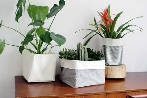 Cải tạo lại chậu trồng cây nhờ tái chế túi tote canvas