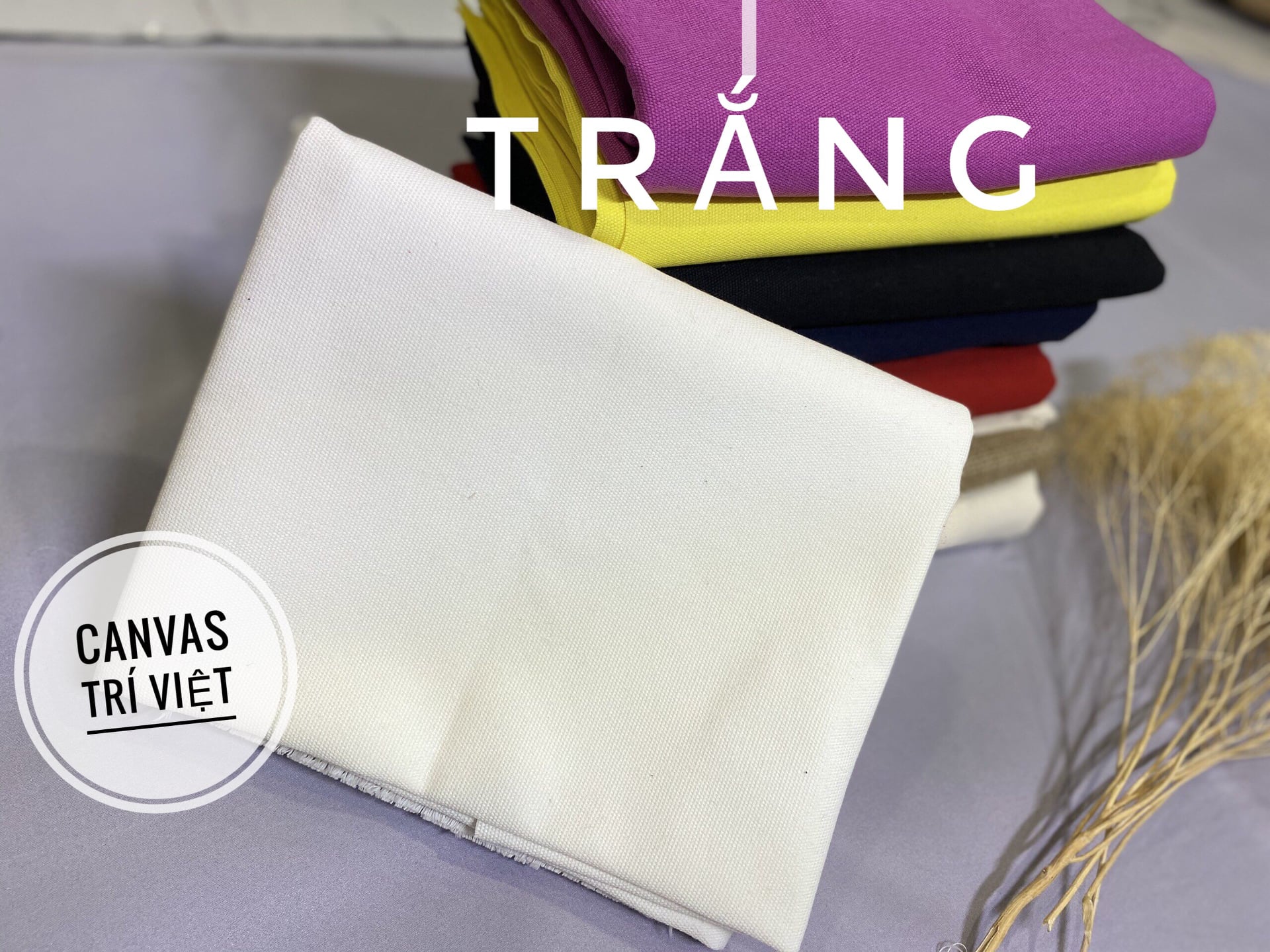 Trí Việt- nhà cung cấp hàng đầu về vải canvas với 10 năm kinh nghiệm và thương hiệu uy tín